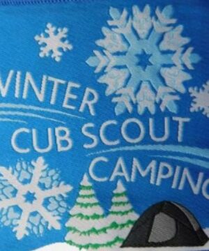 Cubs Winter Cub Camp 2026